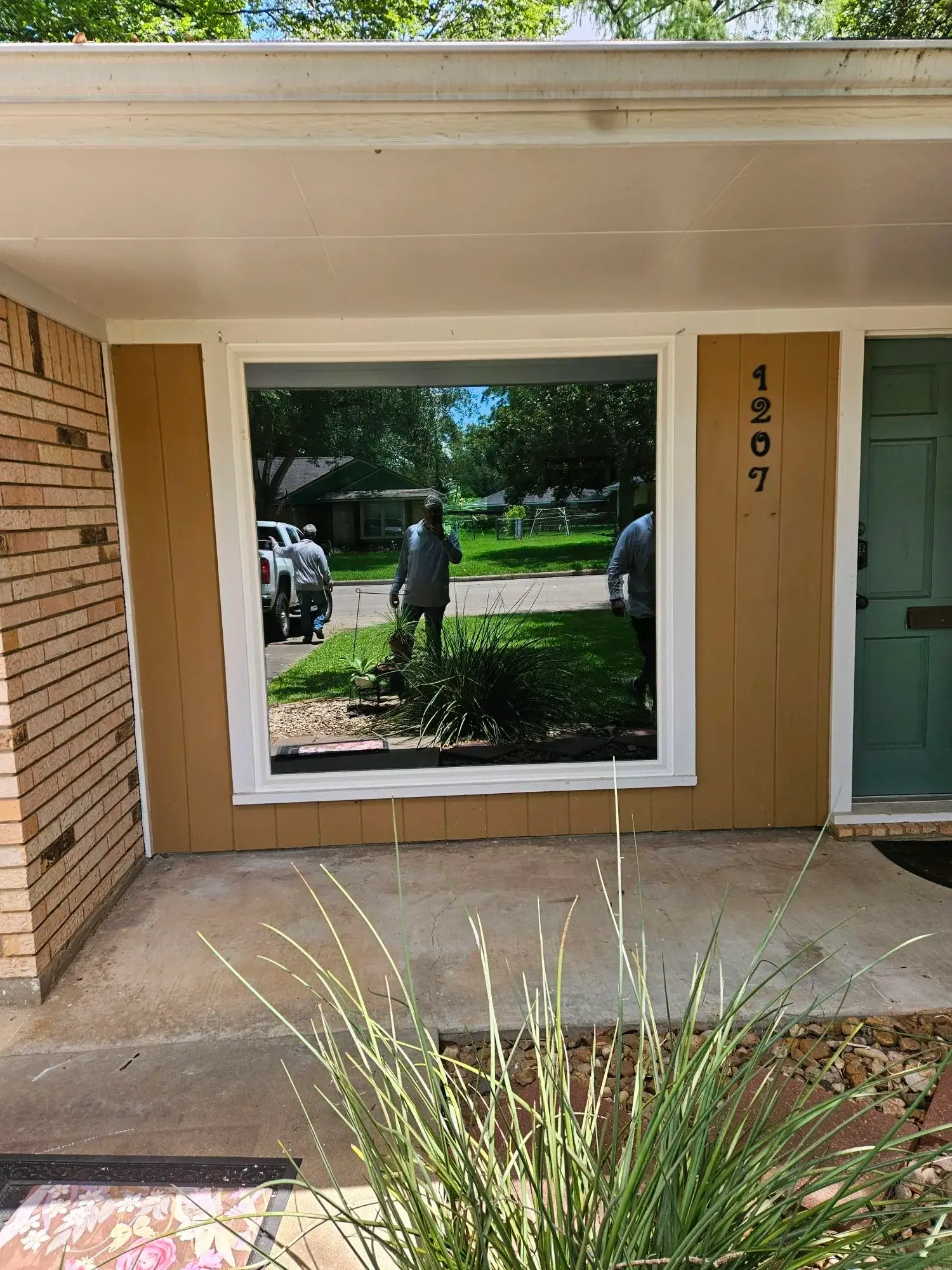 Door and window project